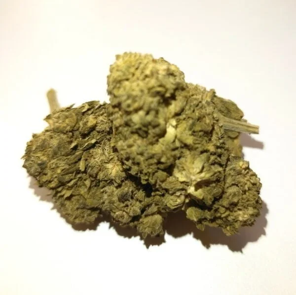 Jack Herer – Image 2